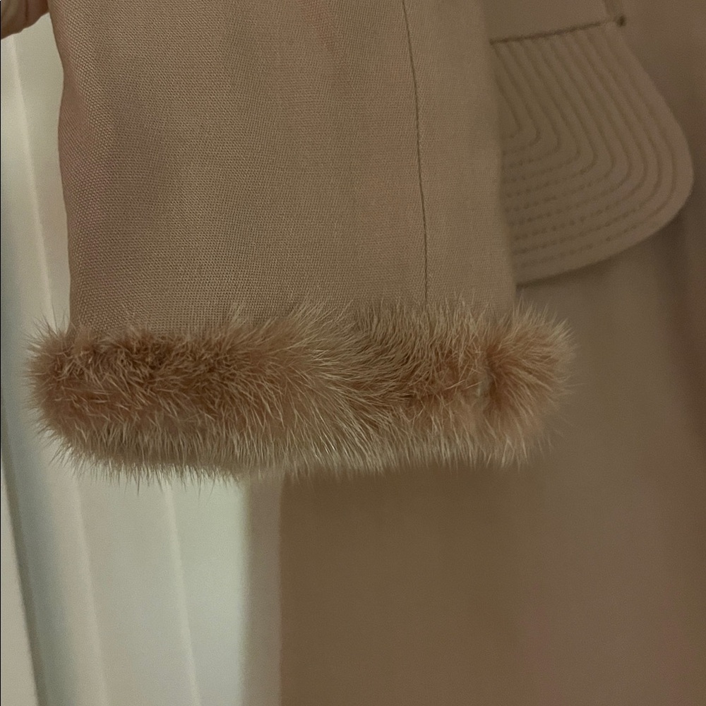 Alberta Ferretti Tan Long Sleeve Dress with mink Fur Trim - Picture 3 of 6